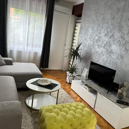 Apartament Creative Studio 5 Nowy Sad Zewnętrze zdjęcie